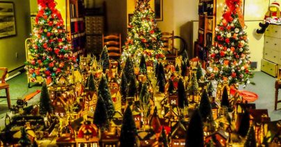 queens county museum forest of christmas trees 201605