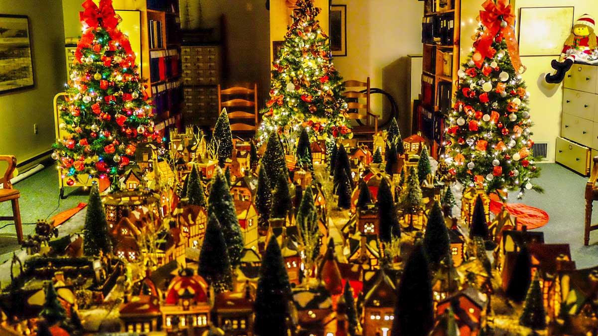 queens county museum forest of christmas trees 201605
