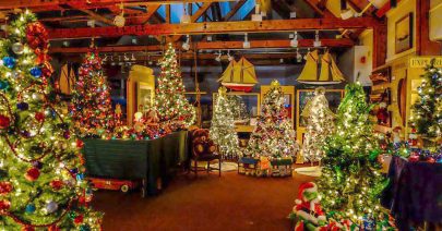 Festival of Trees - Queens County Museum - 2022